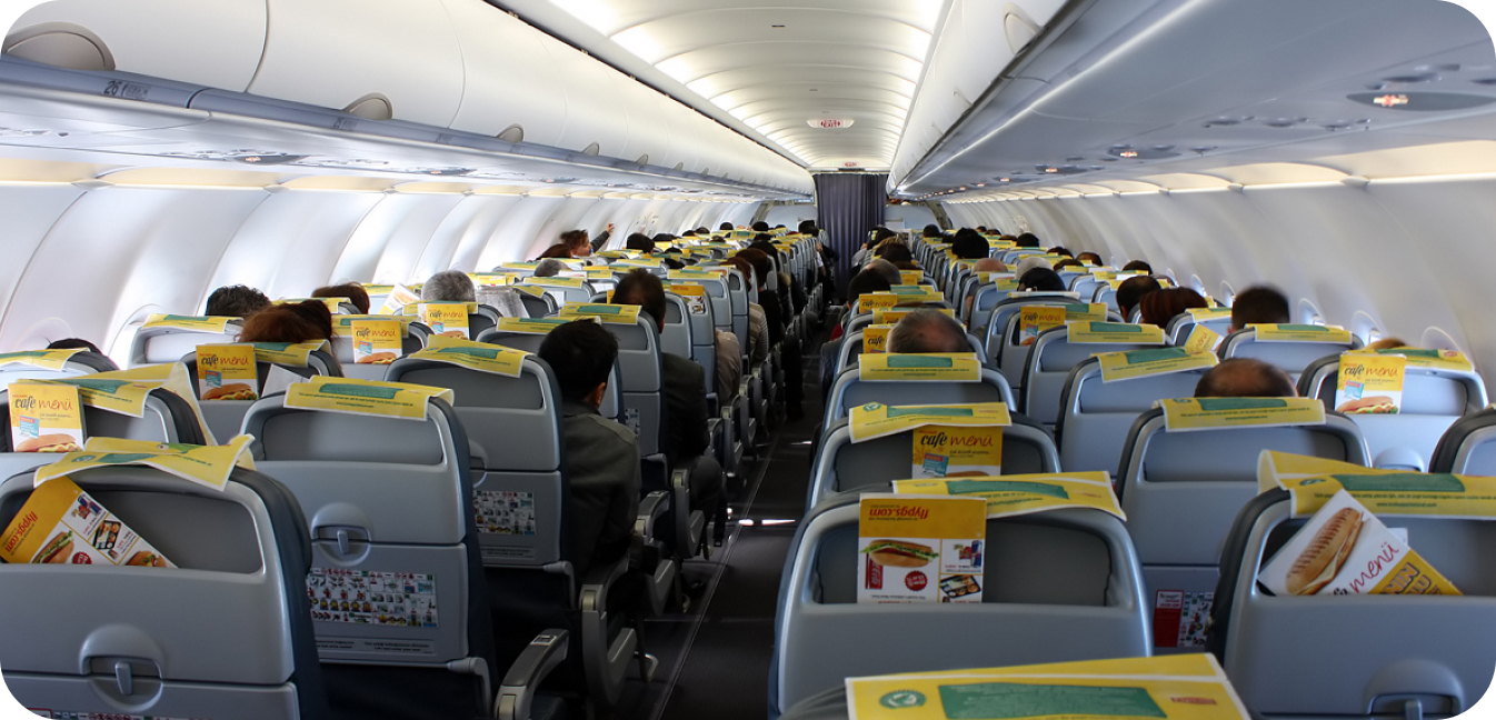 پگاسوس ایرلاینز برای حمل حیوانات خانگی