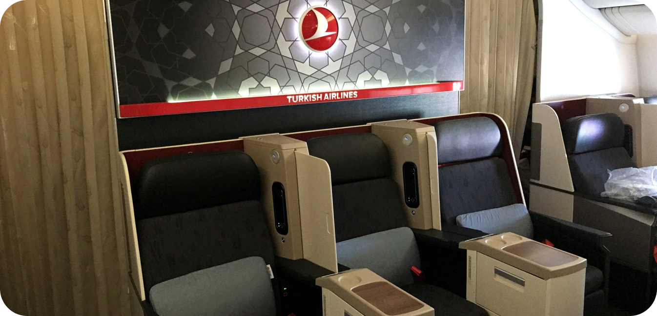 ترکیش ایرلاینز برای حمل حیوانات خانگی