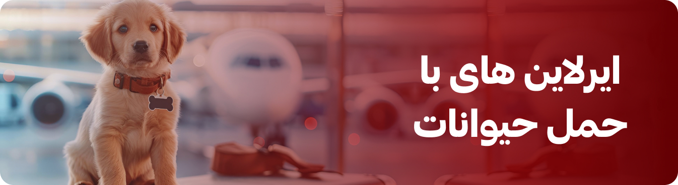 ایرلاین‌های با حمل حیوانات خانگی