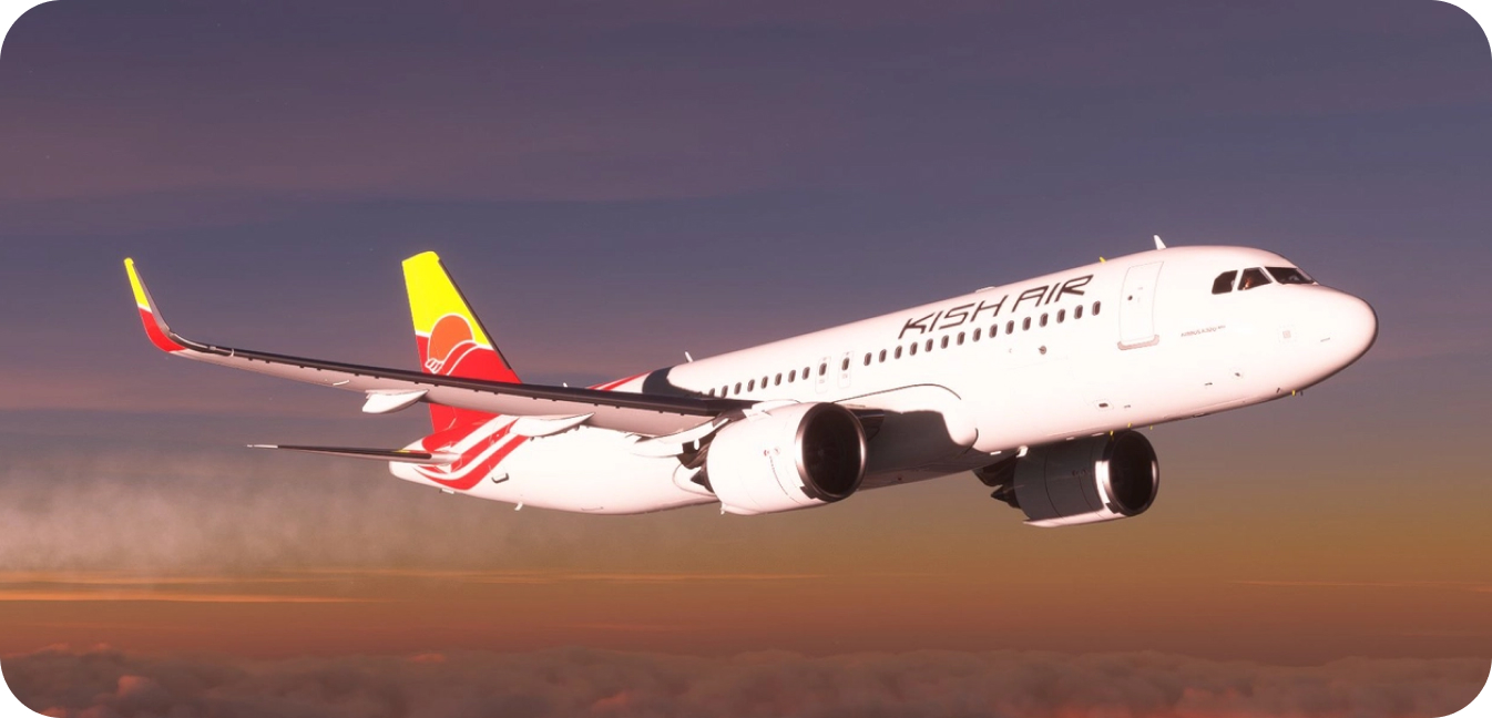 کیش ایر برای حمل حیوانات خانگی