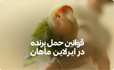 کانفرم بلیط هواپیما چیست؟