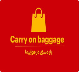 کری آن لاگیج در فرودگاه یعنی چی؟